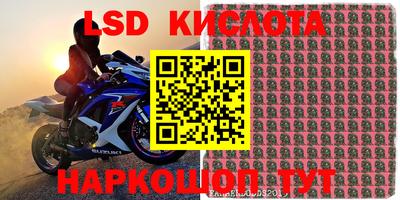 шишки Абакан