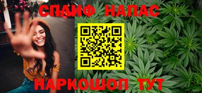 шишки Абакан