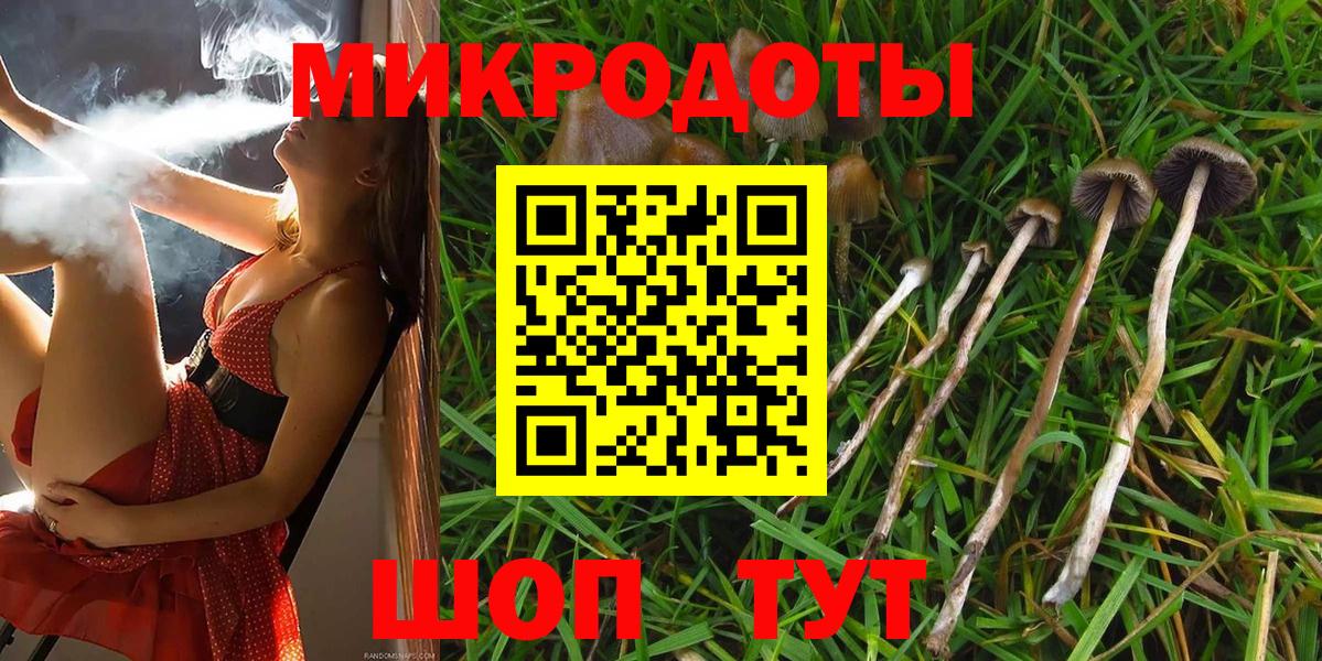 Галлюциногенные грибы прущие грибы  дарнет шоп  Псилоцибиновые грибы GOLDEN TEACHER  Апшеронск 