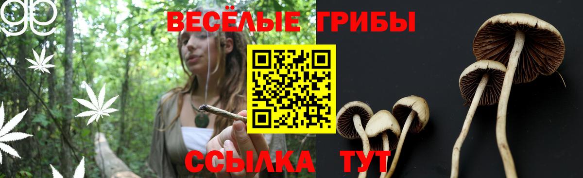 Псилоцибиновые грибы MAGIC MUSHROOMS Апшеронск