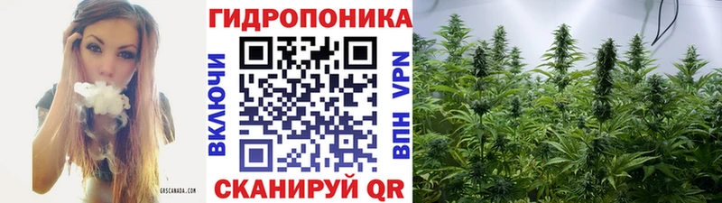 Шишки марихуана OG Kush  Апшеронск 